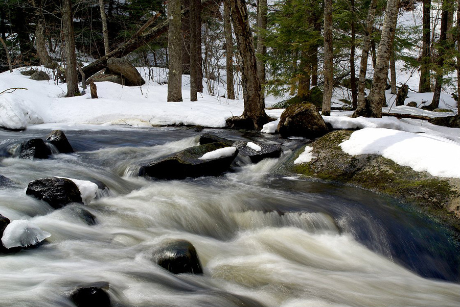 woodland-stream-in winter_DSC04002