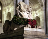 New York Public Library lion decorated for Christmas