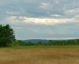 Maple-Ridge-field-panorama