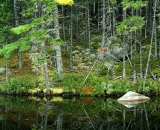 Moxie-lake-pond-panorama_01