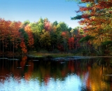 New -Gloucester-Autumn-Pond-panorama_01