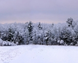 Winter-Storm-panorama_01
