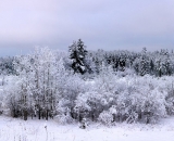 Winter-Storm-panorama_02