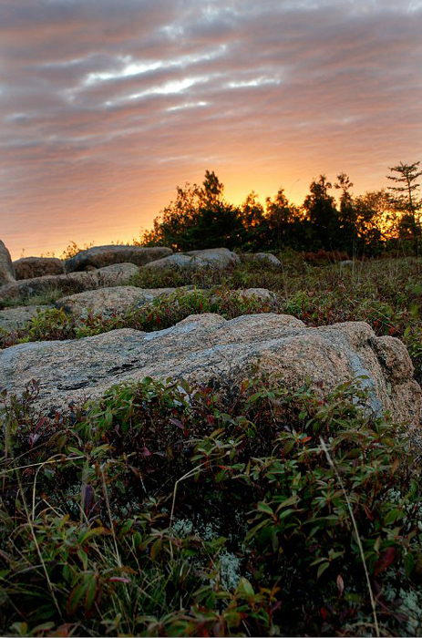 sunrise-at-the-top-of-cadillac-Mountain_DSC08947