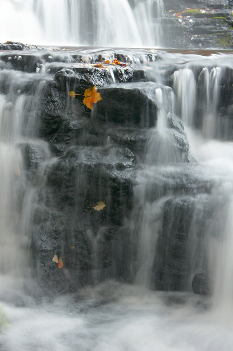 Shahola Falls on Shahola Stream - 16