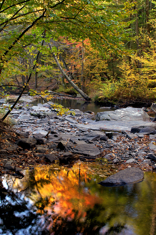 Autumn color on Dingman's Creek - 02
