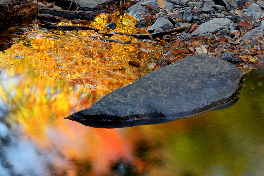 Autumn color on Dingman's Creek - 03