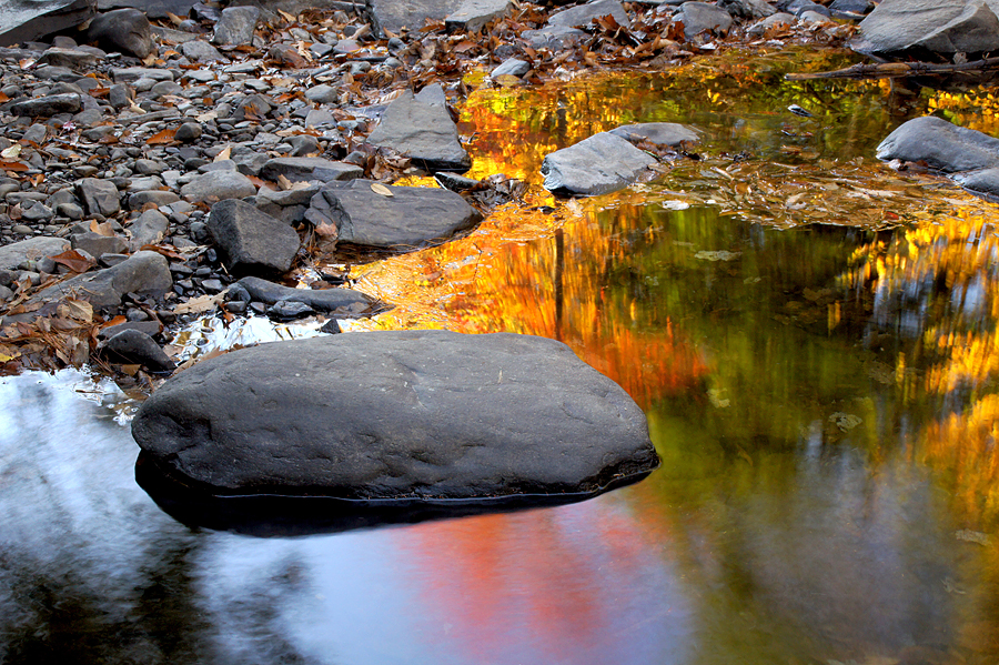 Autumn color on Dingman's Creek - 06