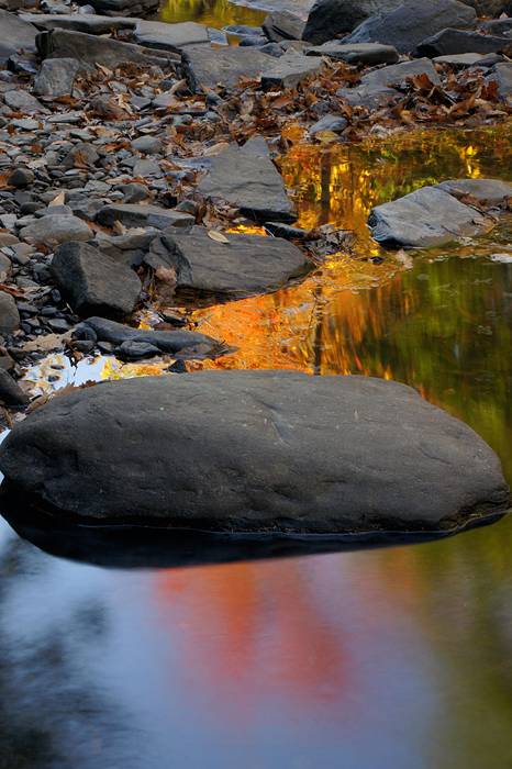 Autumn Color on Dingman's Creek - 07