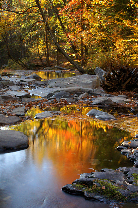 Autumn Color on Dingman's Creek - 08