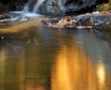 Autumn Color on Dingman's Creek - 04