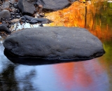 Autumn color on Dingman's Creek - 05