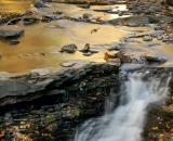 Small cascade on Dingman's Creek