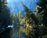 Merced-River-in-Autumn_DSC07719