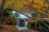 Shahola Falls on Shahola Stream 